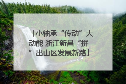 小轴承“传动”大动能 浙江新昌“拼”出山区发展新路