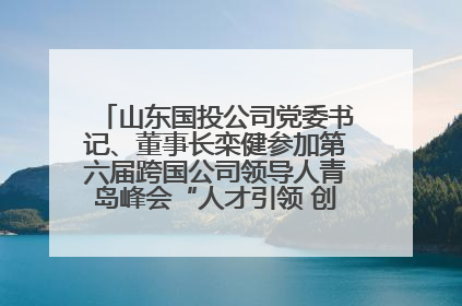 山东国投公司党委书记、董事长栾健参加第六届跨国公司领导人青岛峰会“人才引领 创新驱动”人力资源高质量发展对话会