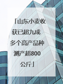山东小麦收获已超九成 多个高产品种测产超800公斤