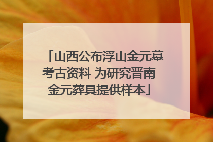 山西公布浮山金元墓考古资料 为研究晋南金元葬具提供样本