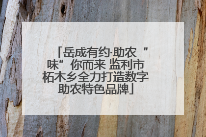 岳成有约·助农“味”你而来 监利市柘木乡全力打造数字助农特色品牌