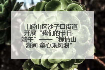 崂山区沙子口街道开展“我们的节日·端午”——“粽情山海间 童心乘风浪”文明实践活动