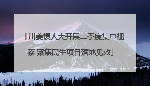 川姜镇人大开展二季度集中视察 聚焦民生项目落地见效