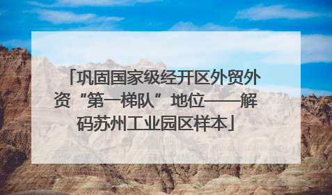 巩固国家级经开区外贸外资“第一梯队”地位——解码苏州工业园区样本