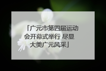 广元市第四届运动会开幕式举行 尽显大美广元风采
