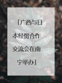 广西与日本经贸合作交流会在南宁举办