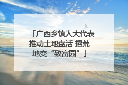 广西乡镇人大代表推动土地盘活 撂荒地变“致富园”