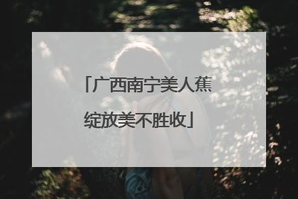 广西南宁美人蕉绽放美不胜收