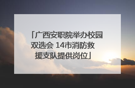 广西安职院举办校园双选会 14市消防救援支队提供岗位