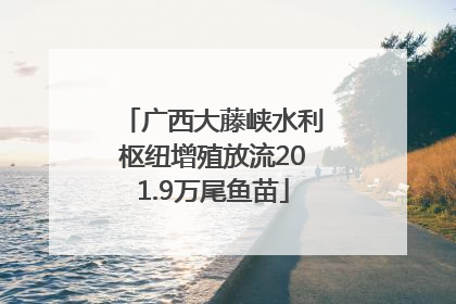 广西大藤峡水利枢纽增殖放流201.9万尾鱼苗