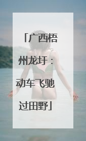 广西梧州龙圩：动车飞驰过田野