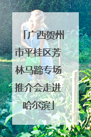 广西贺州市平桂区芳林马蹄专场推介会走进哈尔滨