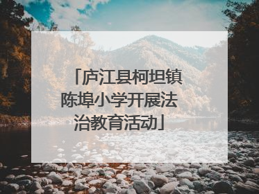 庐江县柯坦镇陈埠小学开展法治教育活动