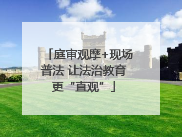 庭审观摩+现场普法 让法治教育更“直观”