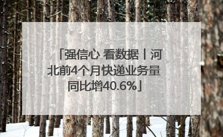 强信心 看数据丨河北前4个月快递业务量同比增40.6%