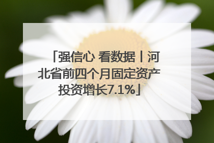 强信心 看数据丨河北省前四个月固定资产投资增长7.1%