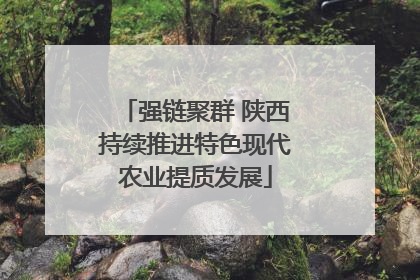 强链聚群 陕西持续推进特色现代农业提质发展