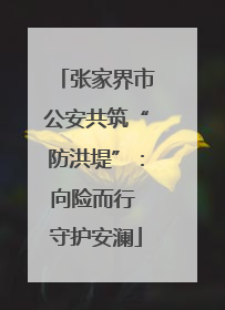 张家界市公安共筑“防洪堤”：向险而行 守护安澜