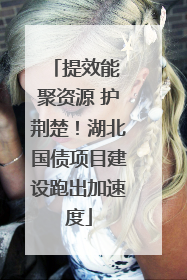 提效能 聚资源 护荆楚！湖北国债项目建设跑出加速度
