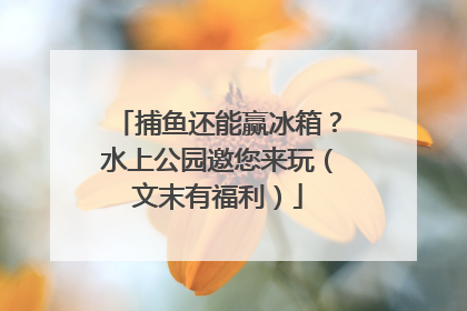 捕鱼还能赢冰箱？水上公园邀您来玩（文末有福利）