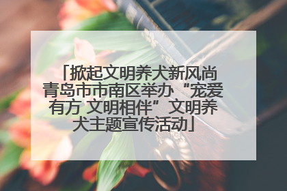 掀起文明养犬新风尚 青岛市市南区举办“宠爱有方 文明相伴”文明养犬主题宣传活动