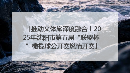 推动文体旅深度融合！2025年沈阳市第五届“联盟杯”橄榄球公开赛燃情开赛
