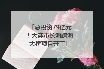 总投资79亿元！大连市长海跨海大桥项目开工