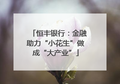 恒丰银行：金融助力“小花生”做成“大产业”