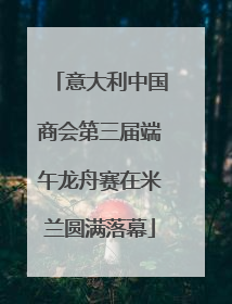 意大利中国商会第三届端午龙舟赛在米兰圆满落幕