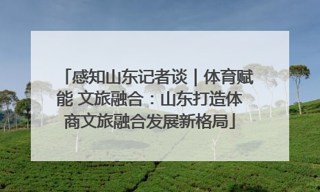 感知山东记者谈｜体育赋能 文旅融合：山东打造体商文旅融合发展新格局
