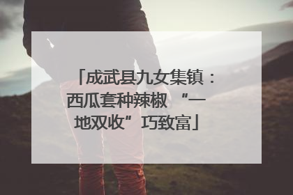 成武县九女集镇：西瓜套种辣椒 “一地双收”巧致富