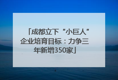成都立下“小巨人”企业培育目标：力争三年新增350家
