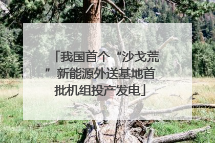 我国首个“沙戈荒”新能源外送基地首批机组投产发电