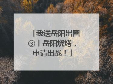 我送岳阳出圈③丨岳阳烧烤，申请出战！