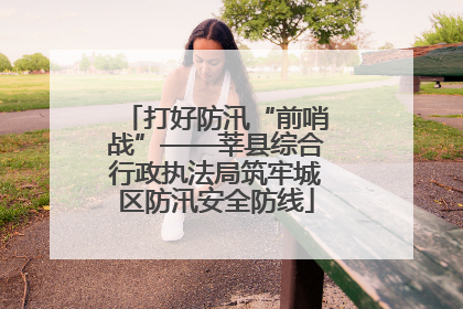打好防汛“前哨战”——莘县综合行政执法局筑牢城区防汛安全防线