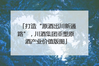 打造“原酒出川新通路”，川酒集团重塑原酒产业价值版图
