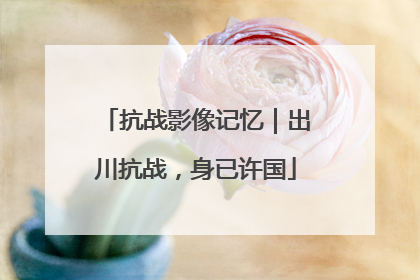 抗战影像记忆｜出川抗战，身已许国
