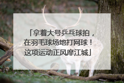 拿着大号乒乓球拍，在羽毛球场地打网球！这项运动正风靡江城