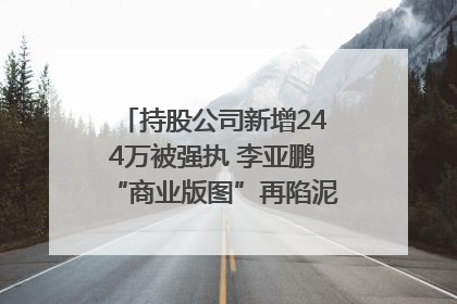 持股公司新增244万被强执 李亚鹏“商业版图”再陷泥潭？｜科技观察