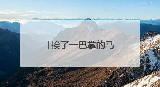 挨了一巴掌的马克龙，在越南说了些啥？危险！