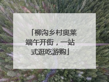 柳沟乡村奥莱端午开街，一站式逛吃游购