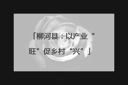 柳河县：以产业“旺”促乡村“兴”
