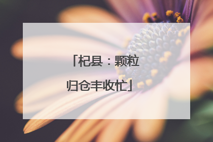 杞县：颗粒归仓丰收忙