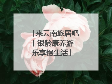 来云南旅居吧丨银龄康养游 乐享慢生活