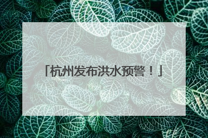 杭州发布洪水预警！