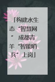 构建水生态“智慧网” 成都青羊“智能哨兵”上岗