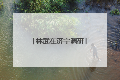 林武在济宁调研