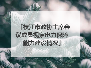枝江市政协主席会议成员视察电力保障能力建设情况
