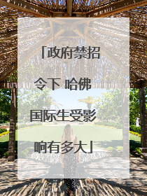 政府禁招令下 哈佛国际生受影响有多大