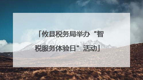 攸县税务局举办“智税服务体验日”活动